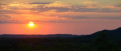 savanna sunset