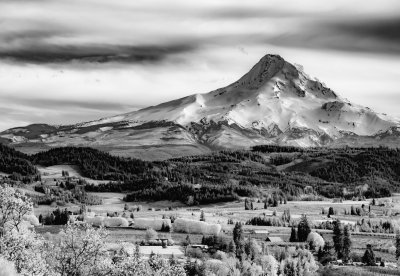 Mount Hood