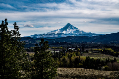 Mount Hood