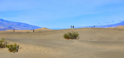 Mesquite Flat Sand Dumes