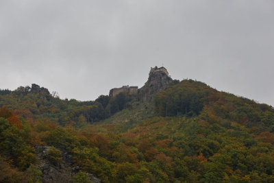 _MG_5580.jpg