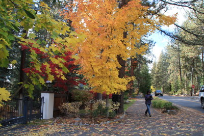 LkTahoe17_8133.JPG