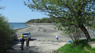 Bar Island Trail