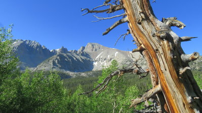 GB18_6009.JPG