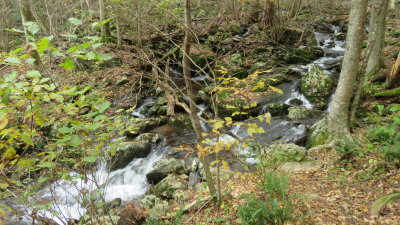 South River Falls Trail
3.3mi loop