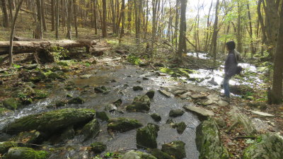 Shen18_3008.JPG