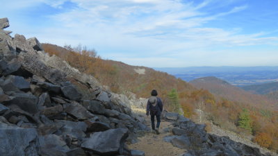 Blackrock Summit Trail
1mi loop