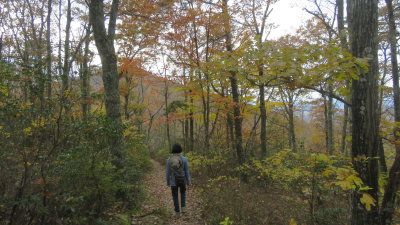 Turk Mountain Trail
1.1mi x2