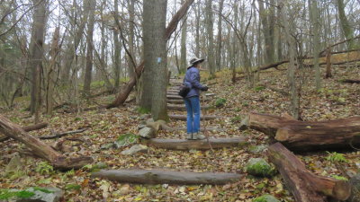 Bearfence Rock Trail
1.2mi loop