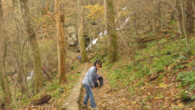 Dark Hollow Falls Trail
0.7mi x2
