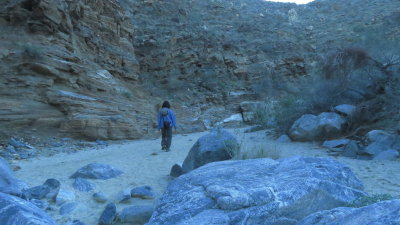 Carrizo Canyon
