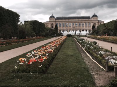 jardin_des_plantes_