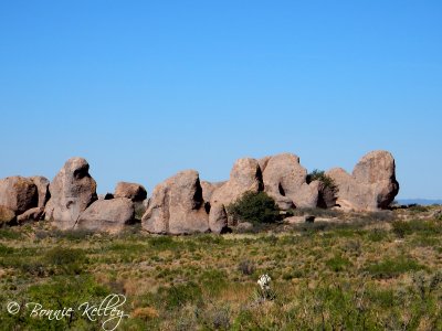 City of Rocks, NM
