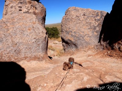 City of Rocks, NM