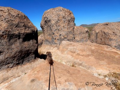 City of Rocks, NM