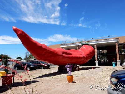 Worlds largest chili, Las Cruces, NM