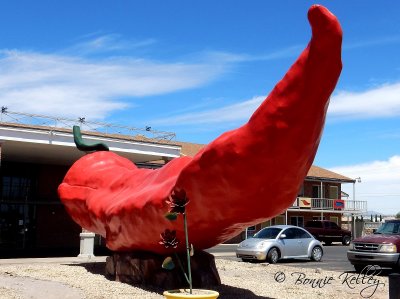 Worlds largest chili, Las Cruces, NM