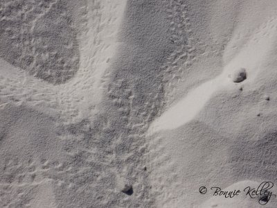 White Sands National Monument, NM