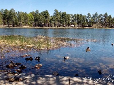 Rainbow Lake - Lakeside/Pinetop, AZ