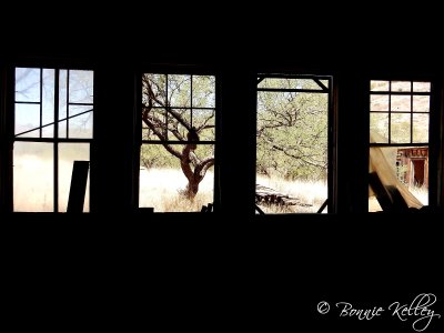 Ruby, AZ