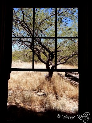 Ruby, AZ