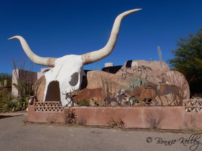 Longhorn Grill - Amado, AZ