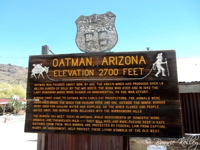 Oatman, AZ