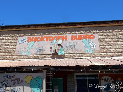 Oatman, AZ