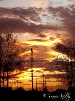 Picacho Sunset
