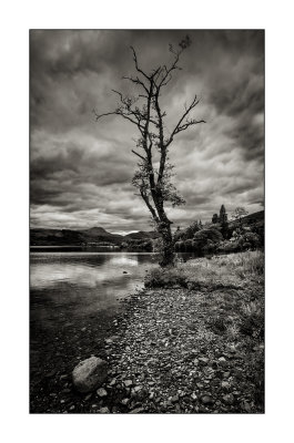 Loch Ard & Ben Lomond, Stirling