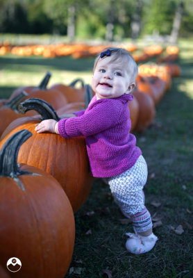 Pumpkin Picked