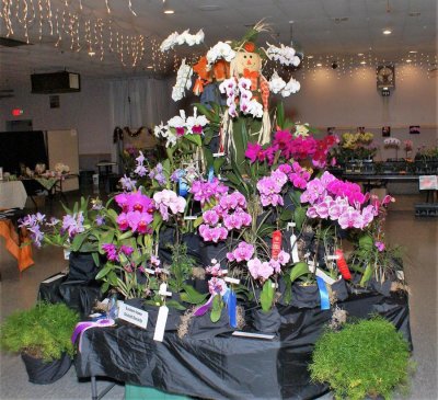 20182151 Display 'Orchids Are A Scream' ST/AOS (84 points) 10-26-2018 (Eastern Iowa Orchid Society)