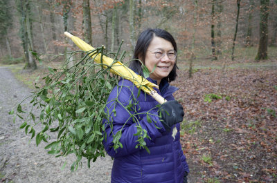 04_Matilda_Mistletoe.jpg