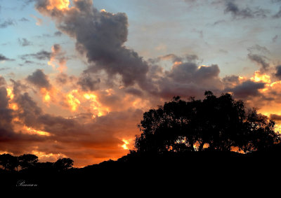 Sunrise at Clear Creek