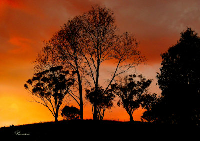 Sunrise at Clear Creek