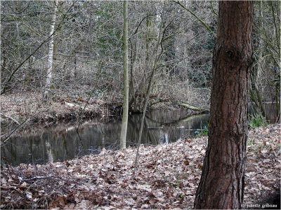 DSCN0037.jpg