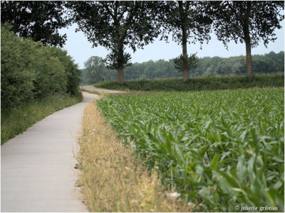 Havikerwaard (Gelderland)