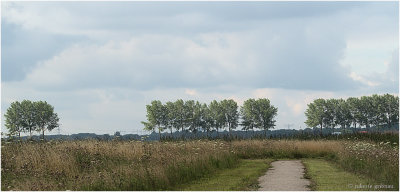 P7260001 -1.jpg