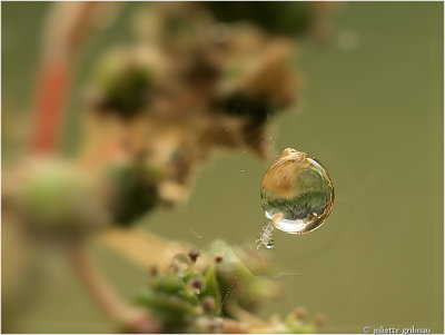 
waterdrop
