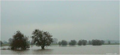 River ijssel