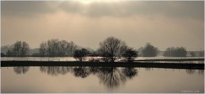 River ijssel