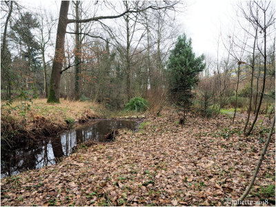 Heemtuin Arnhem-Presikhaaf; botanical garden