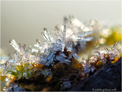 ijskristallen- frozen dewdrops
</div