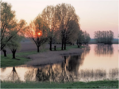 early morning between Huissen and Angeren (Gelderland)