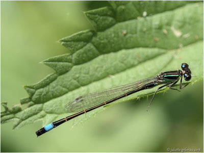 P0201302 -1.jpg