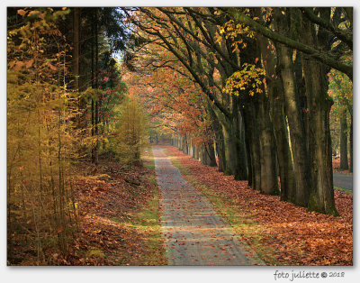 
Nationaal Park Hoge Veluwe
