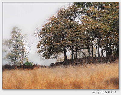 Nationaal Park Hoge Veluwe