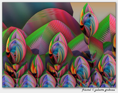 
fractal-tulips
Mandelbulb 3d-software
