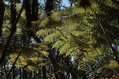 g10/27/1147027/3/165031571.QsYPtYAU.jpg