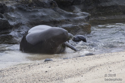 mother urging return to beach